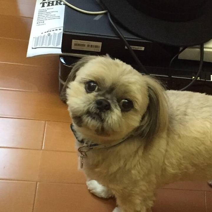 F4086655 42d0 4145 af79 b113a667c366