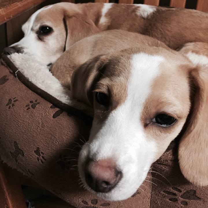 F408771e 7799 4ff3 b2c9 048bfa60d45a