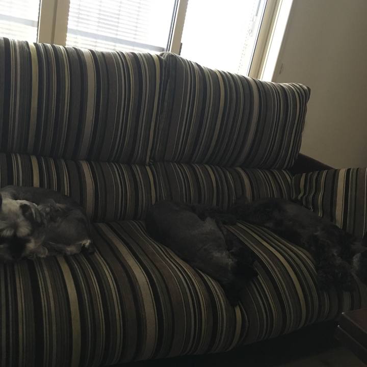 F408fbba d376 411b abdb 0bd9a4d33114