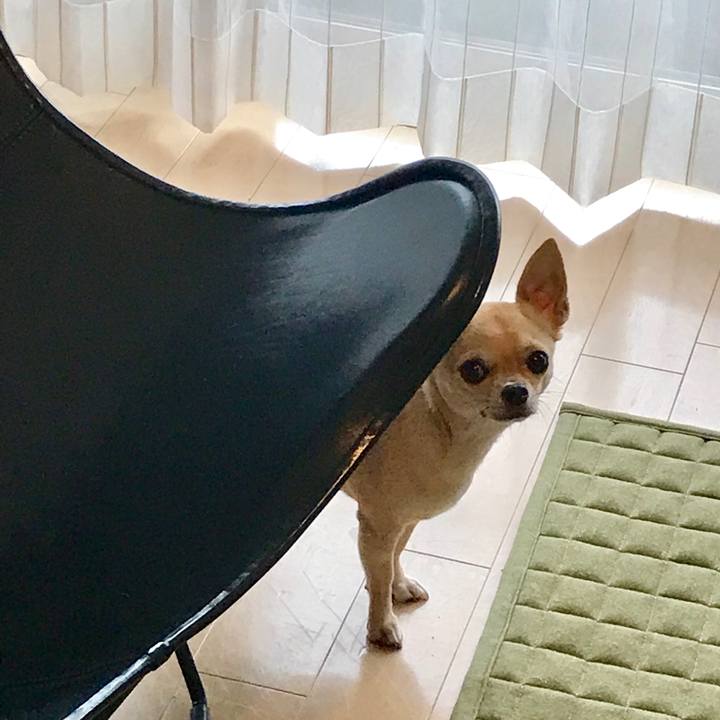 F409503d 8b97 4c8d 9cc8 6c601fffa6ce