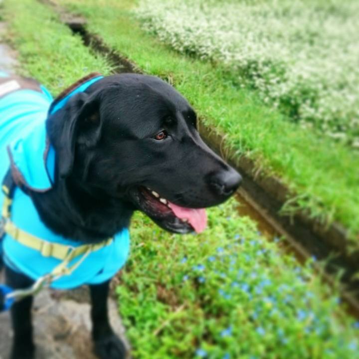 F4097dee 8204 4ae9 bcba 1ae20ad66823