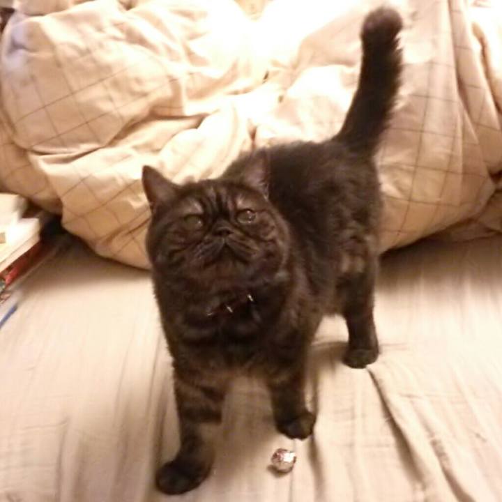 F40981d8 e2ef 4452 8faa c1f5916bb639