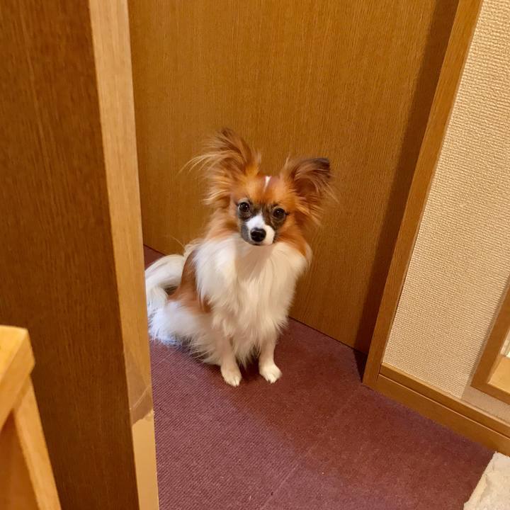 F40a4122 da87 432d ba24 049b993d1f8e