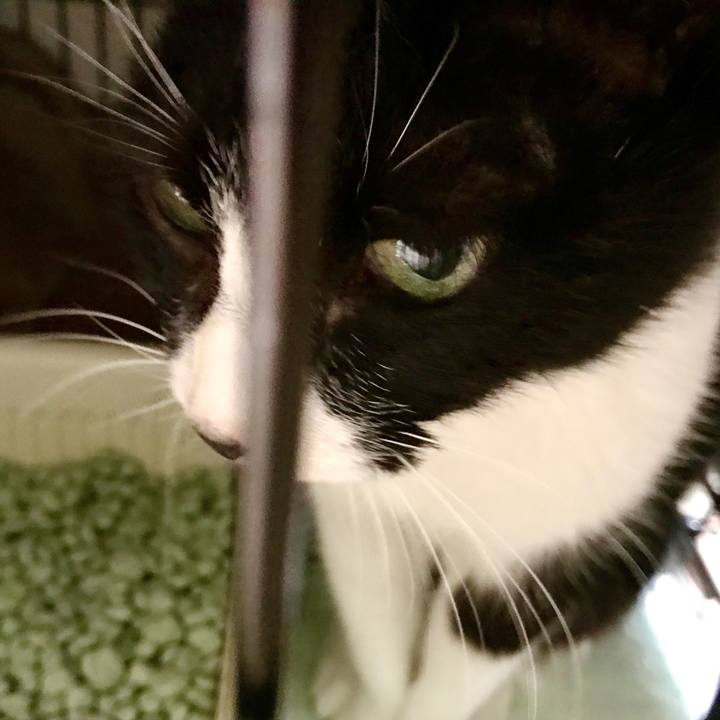 F40aa9f7 3a06 4091 acd8 6f4e23de5b58