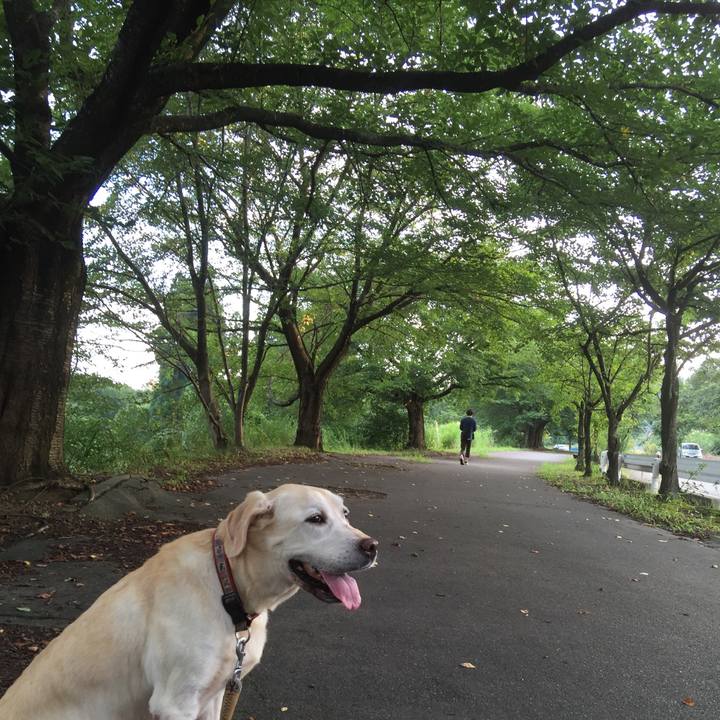 F40ab388 bd97 405b bfed 6d50df4631cf