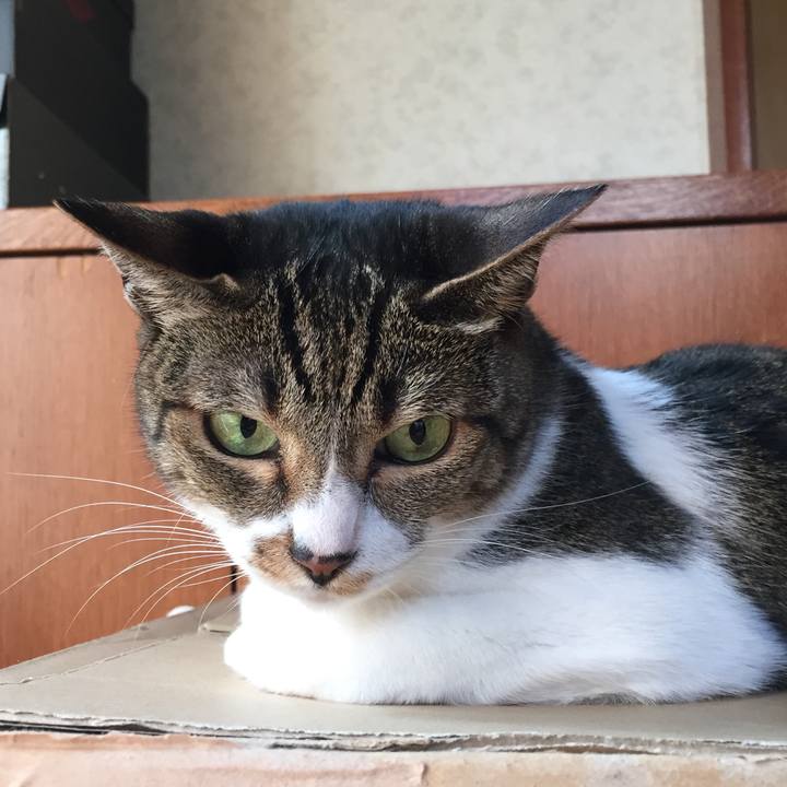 F40ab5df 6e1c 4ba2 b384 64fd8efc9c82