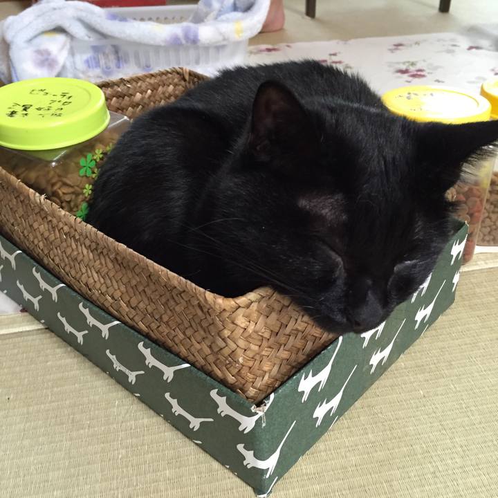 F40ac944 9771 4aff b062 fec183d3a948