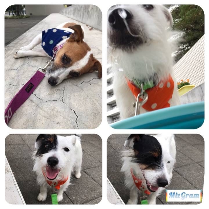 F40acbc0 b2c8 4127 b60a bb2d4b6bd173