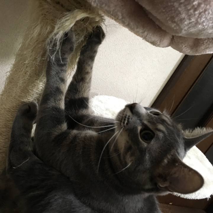 F40aeb0d 30b8 4c36 b7df a839fa6fd748