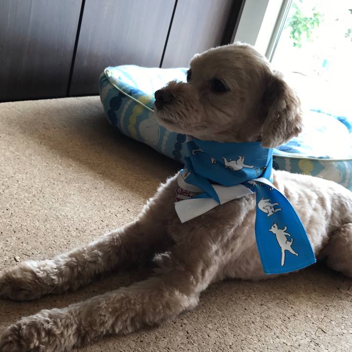 F40b0dd9 eb21 436a 8668 329862fbac14