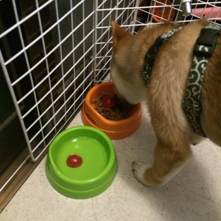 F40b4472 e936 45bc b774 7c69a2f118b6