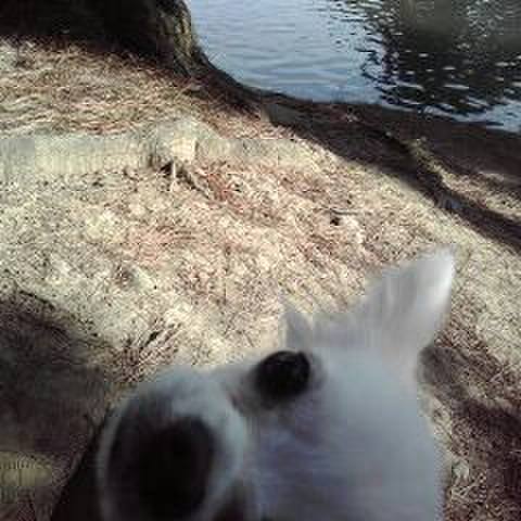 F40b63e6 de72 46d0 ab02 a26dac946e48