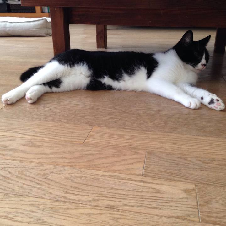 F40bc63a 37ed 439a 91f6 29fa5f3210aa