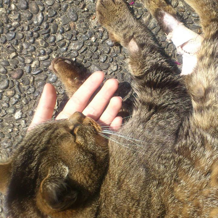 F40c0f26 5d6d 4bf4 b754 b41c9a20f513