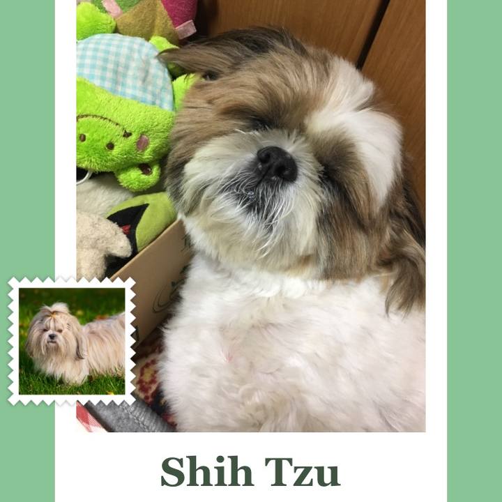 F40c551d 16d0 47a1 a3bb b3e344c6adb6