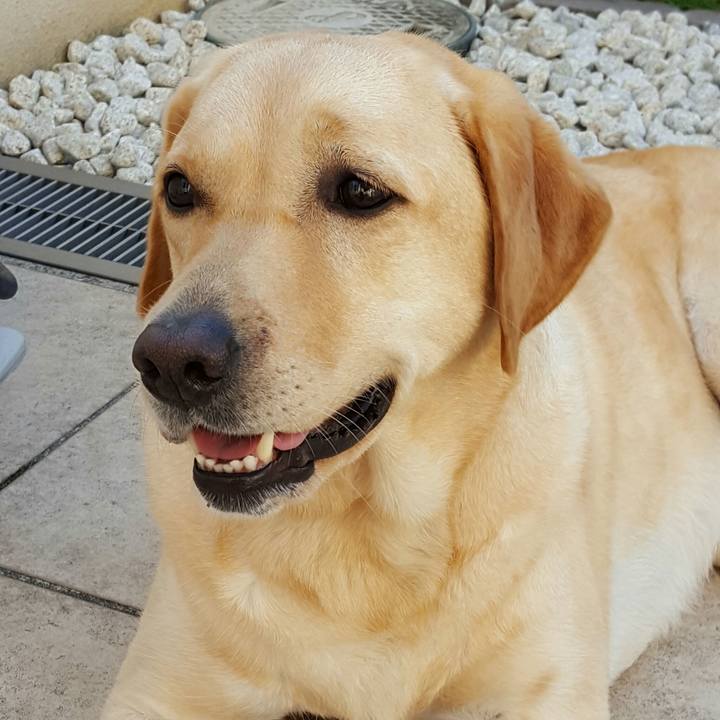 F40c558c a908 4303 a8bf 104614776587