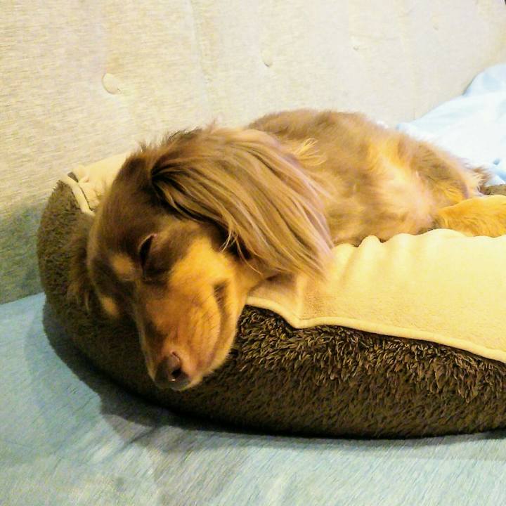 F40c7c64 0022 427d 8722 6c37f06b75e3