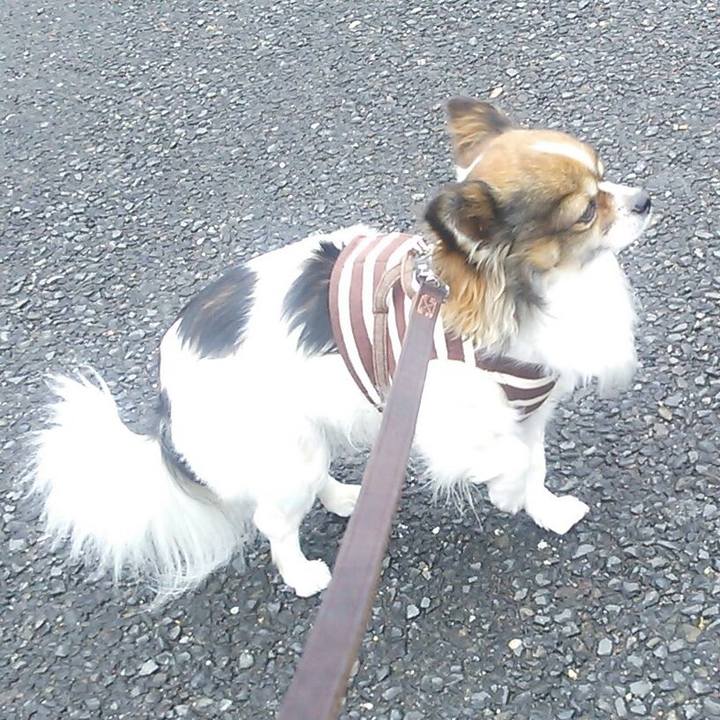 F40ca110 e23f 4866 a99f 98f8bdd85642