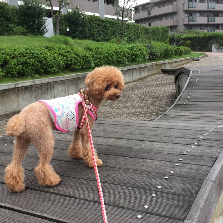 F40cf433 2408 4aad 80cd cc3ef98fdf00