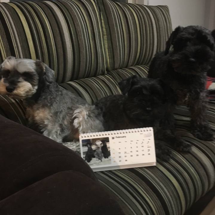 F40cffa0 6c92 424c 9094 cb0b4d773c60