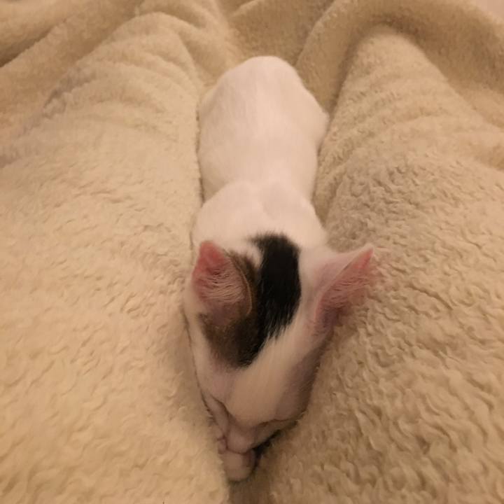 F40d299d 0505 4aa5 aef1 1849516ef1dc