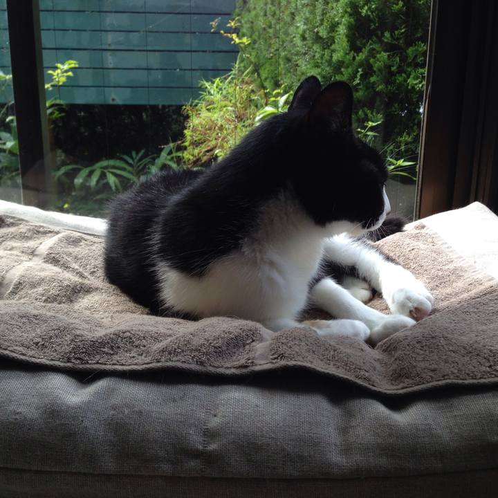 F40d32fb 39e9 4e6b 894b 1e4482b5f680