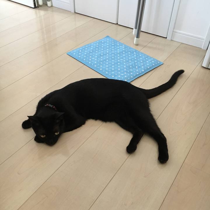 F40da197 8b15 4f8b b3c7 5f719fa97595