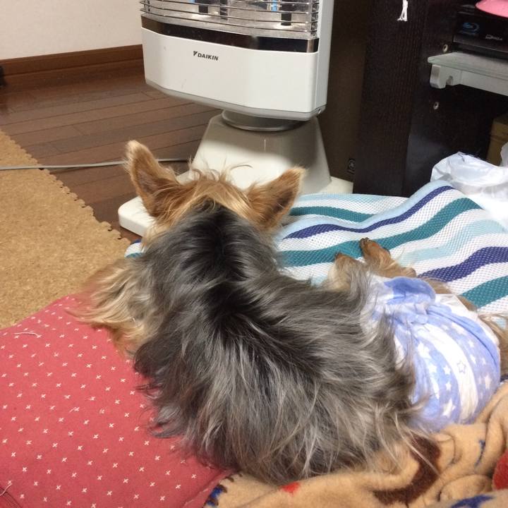 F40daaa8 d0af 4eaf b5f4 b9b758dcef32