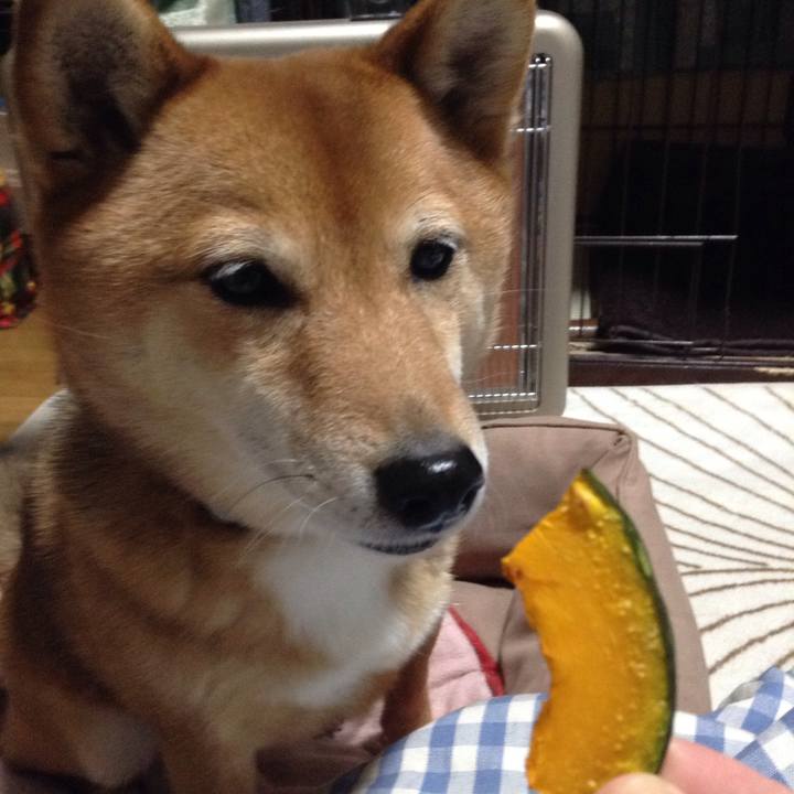 F40ecfc3 b55b 478c ab93 bec0a2b2d150