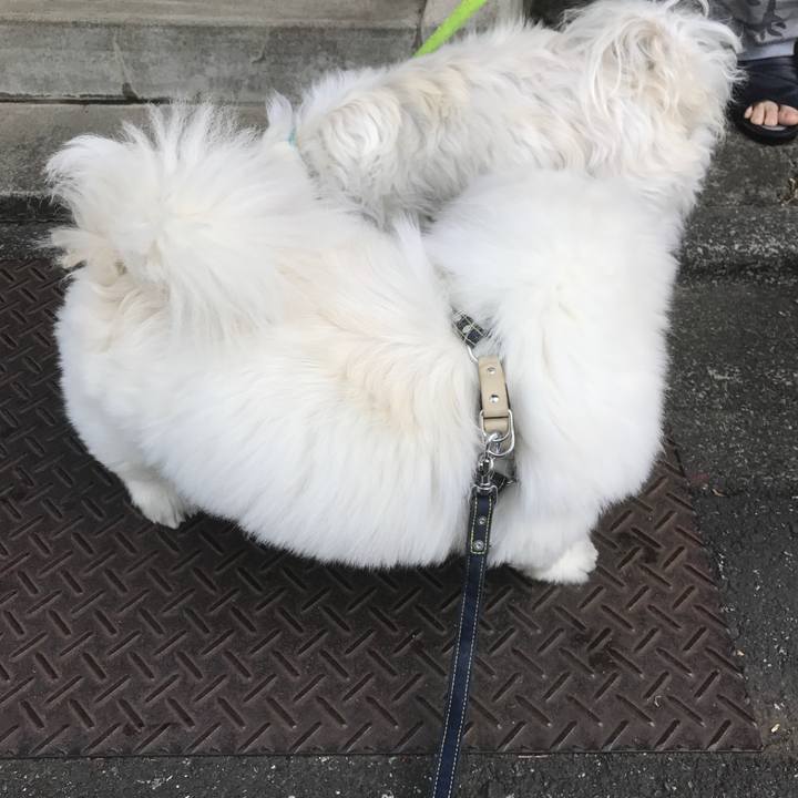 F40f4fec a799 4c1e ad1d 41bcd84e717a