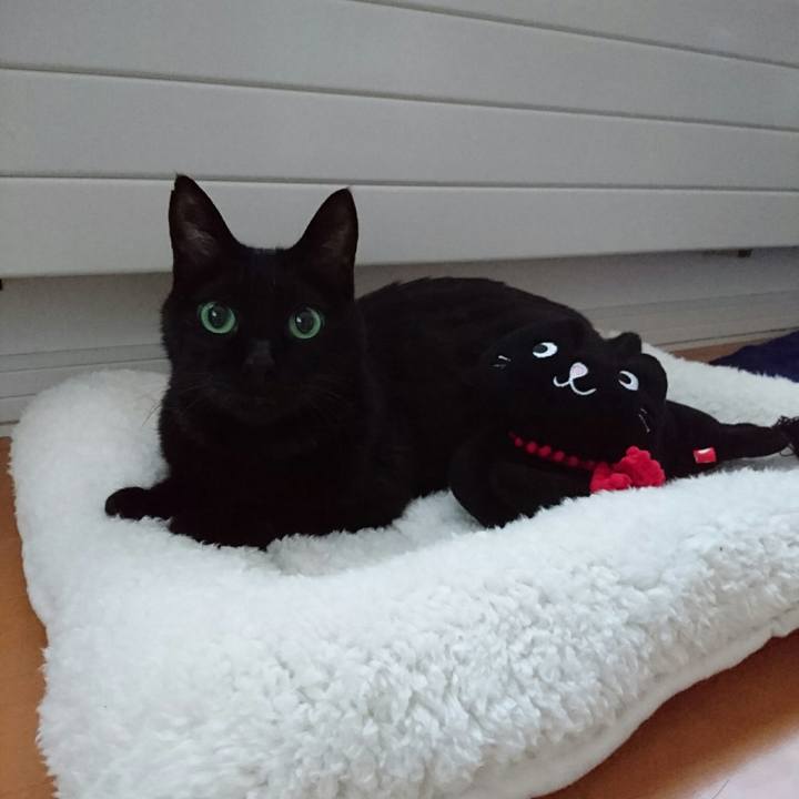 F4111522 d5a5 47ce aabe 26c48eb97bea