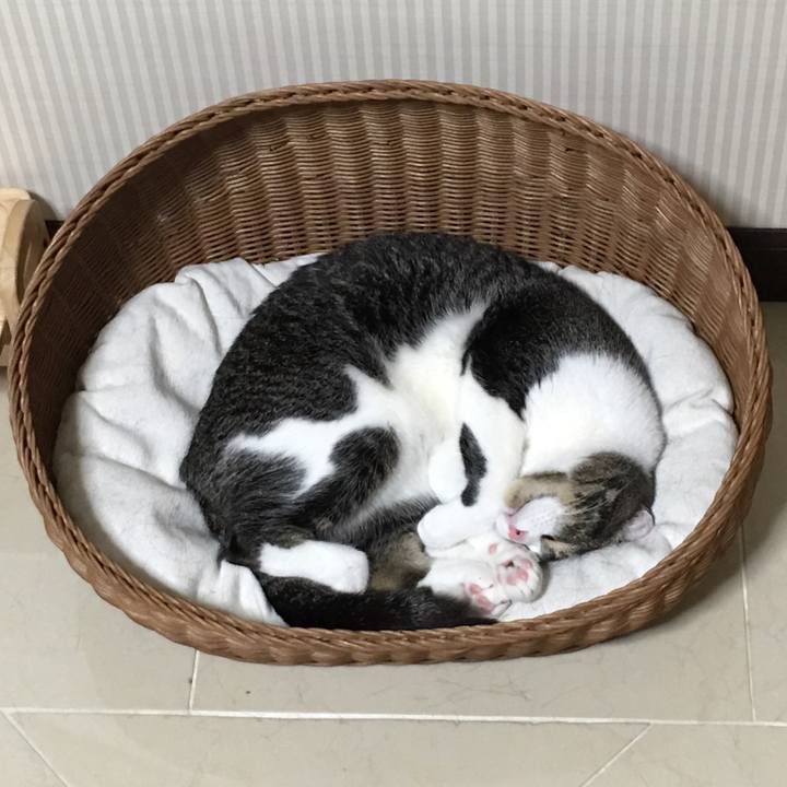 F411492f 5819 4e75 ae55 25361aa23eb6