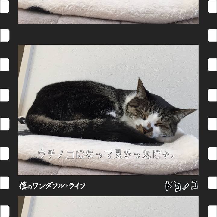 F411957b 8da5 4f6a 9148 fa592458b798