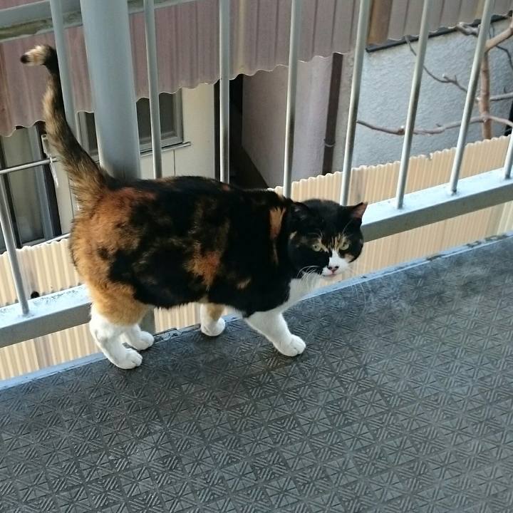 F4121afa bcef 475e 9929 afd0e9a82533