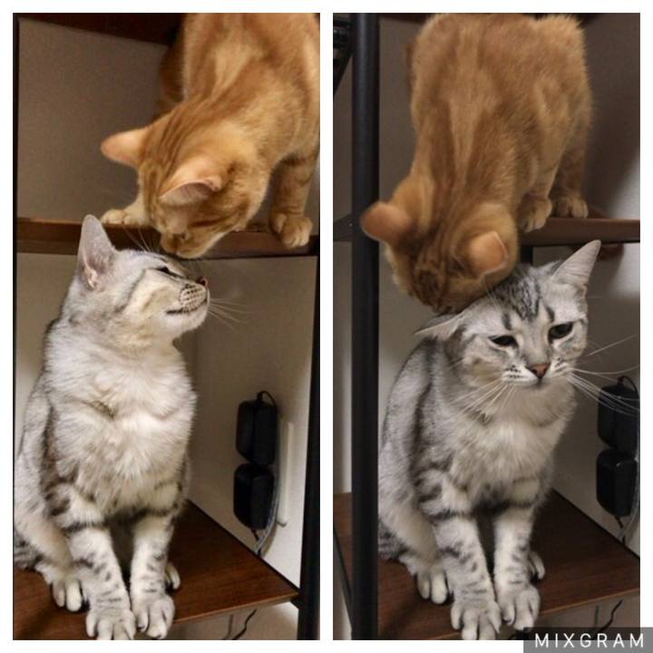 F41220d8 2b81 4859 92c3 04c9be30e132