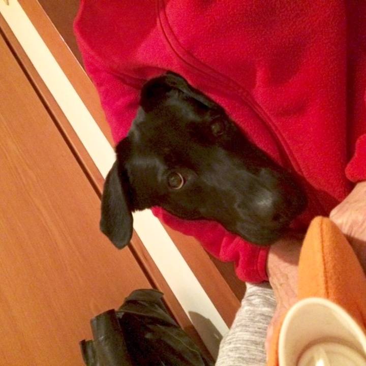 F41258b1 fd2d 499f b0d4 61223e11137c