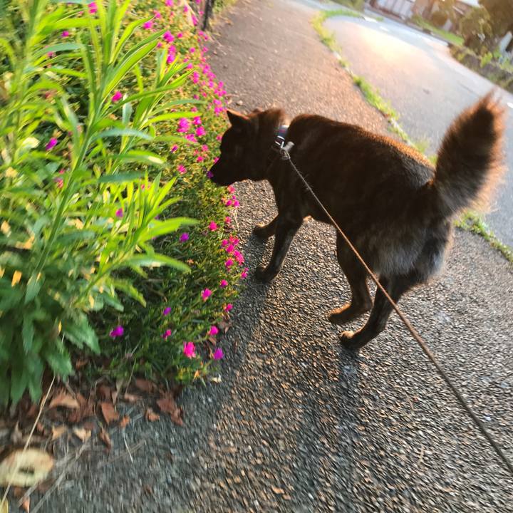 F41283a1 c104 4022 88c2 24d1e79f118b