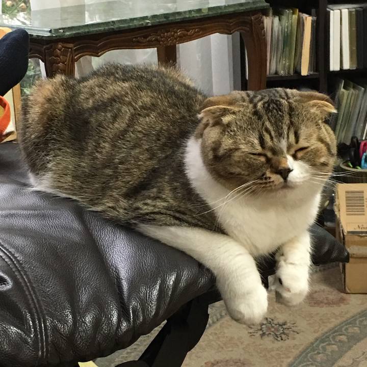 F413b036 78b6 4426 b752 9a82be9d3712