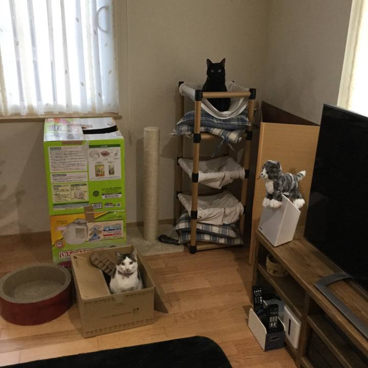 F413f110 7290 4c04 974f 7dfc50aff4f6