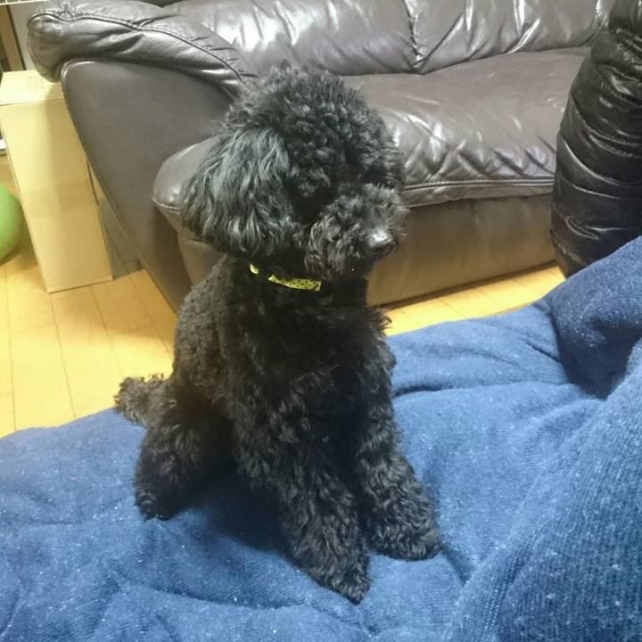 F415bd96 7b72 4adb a314 68903facef04