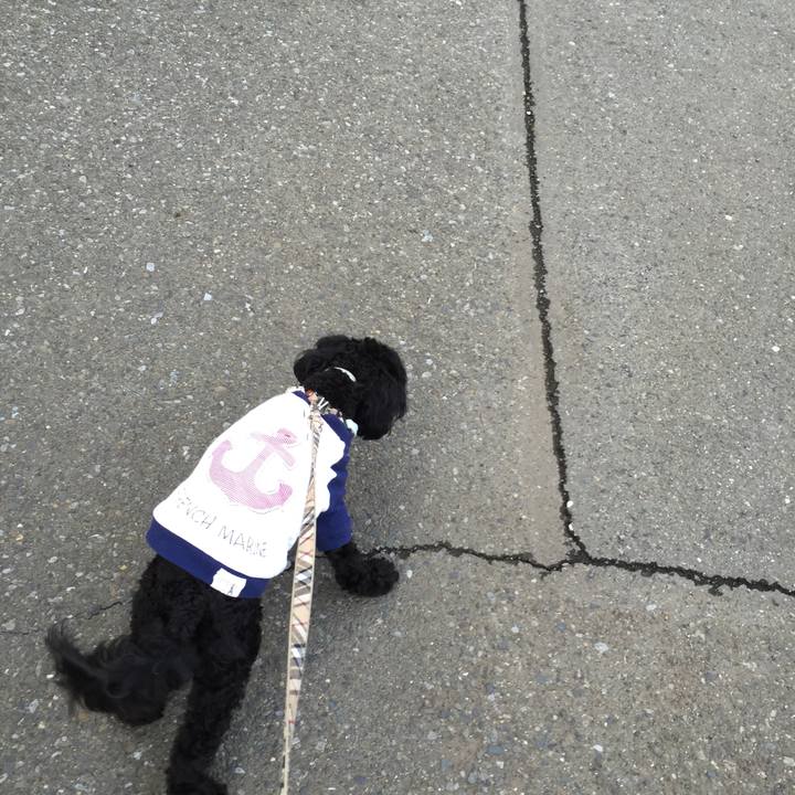 F4162147 09ac 4ba5 a736 e345ace70ee2