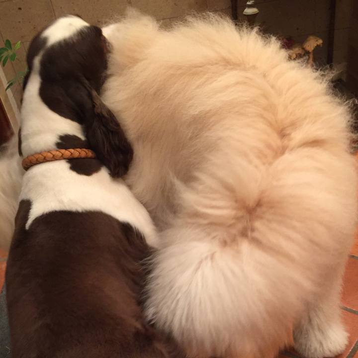 F4167104 26dd 4c96 a976 177810252f4c