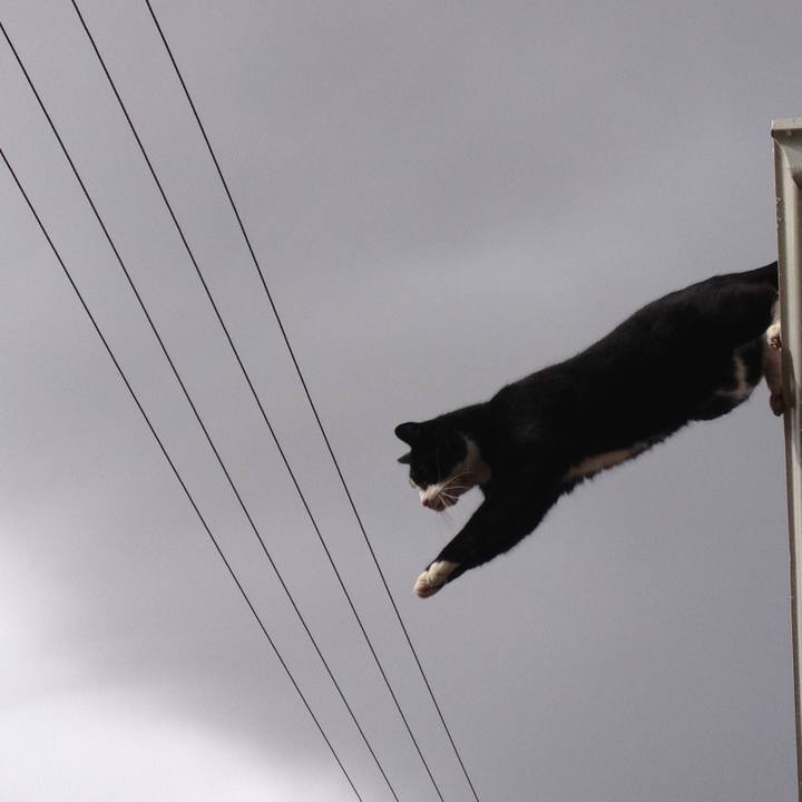 F416fc78 e8a7 4d35 9dae 7547cfc5c1cb