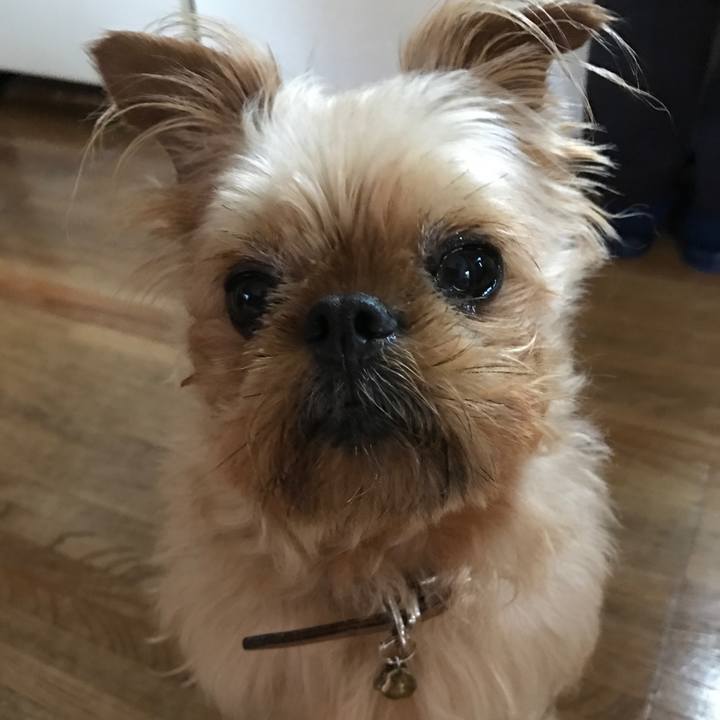 F4171e27 ef67 4367 8fbf fa9218826d82