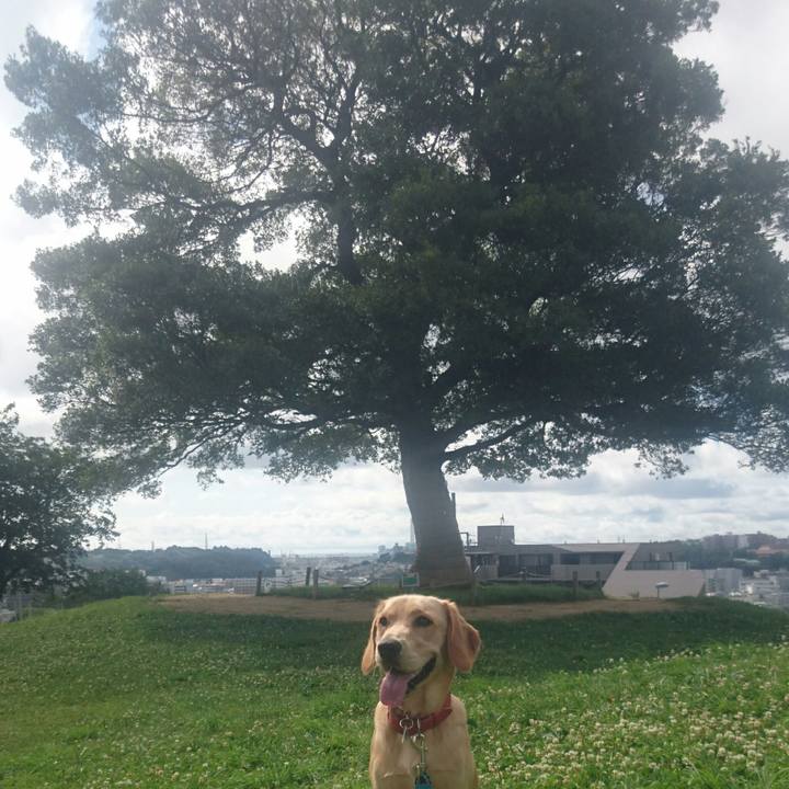 F4174034 1d8a 4698 b735 edd89ea5a286