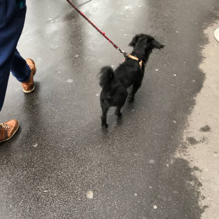 F417f4ae b100 4865 98dd 4fe599360c78