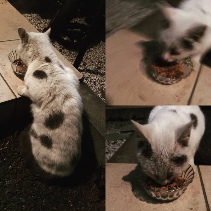 F41858d0 99d1 4a7e ba58 000f2949d19b