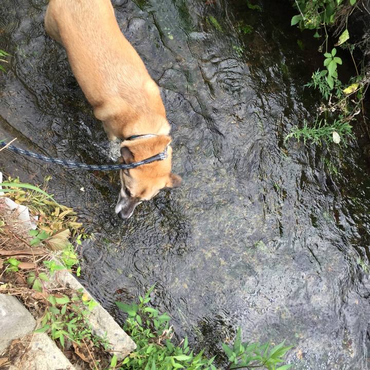 F41888cd 2d06 4779 9764 a57861fc9fd4