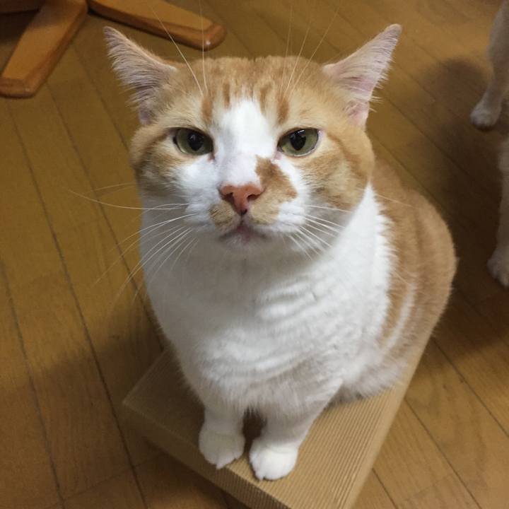 F41892fc af3d 4b2d ade4 2312d6f960a8