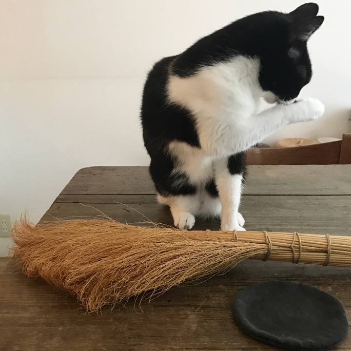 F418ae85 d544 4f9d 8854 c52e1cb80721